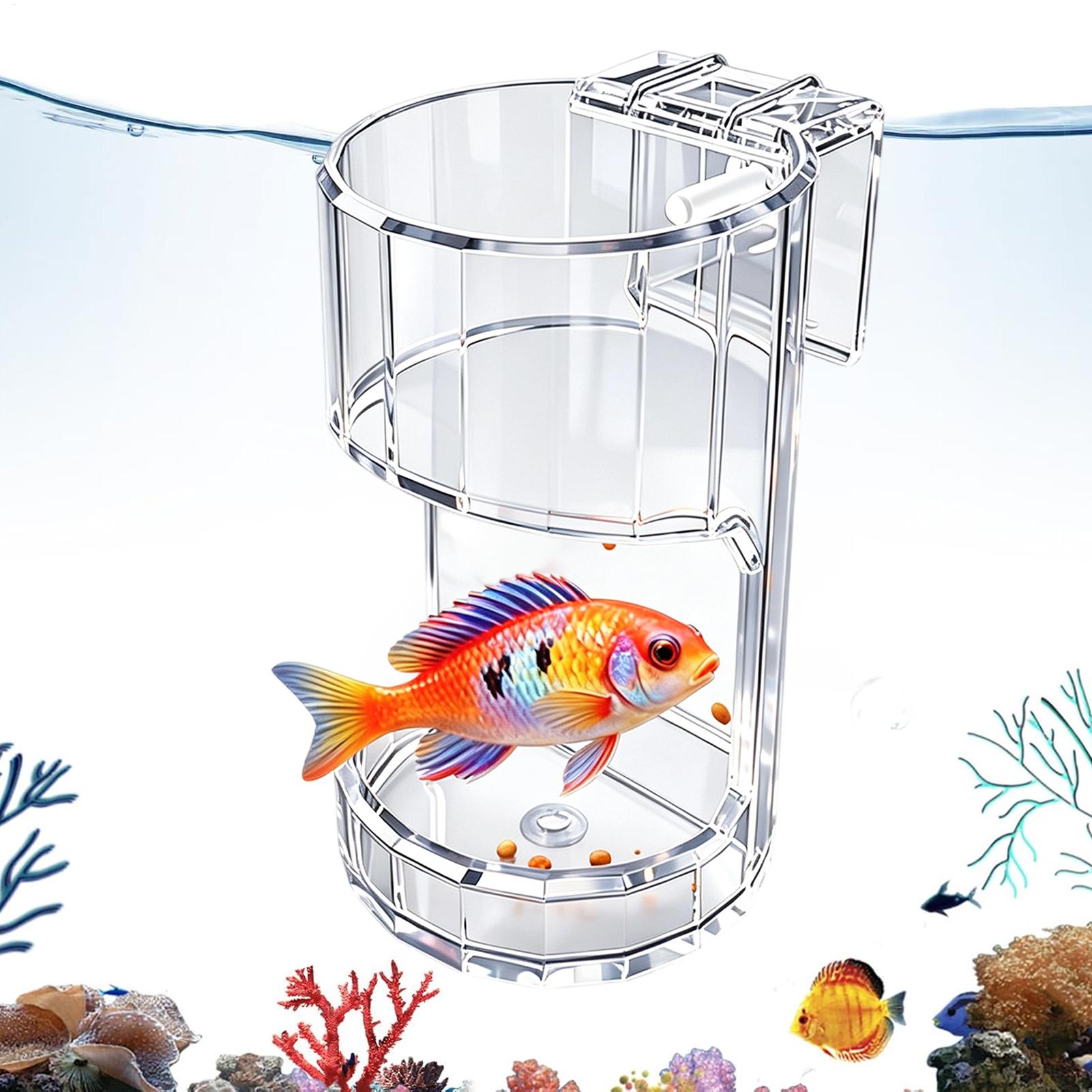 Food Storage Room - 水族館給餌皿透明フードボウルホルダーコンテナ水族館魚フィーダーボックスカメエビベタホームリビングルーム用