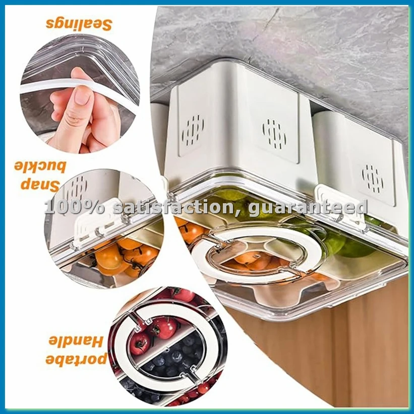 Food Storage For Refrigerator - 大型ピクニック冷蔵庫用フルーツトレイ、キッチン用透明スナックボックス、4つの仕切り付き-ABLL