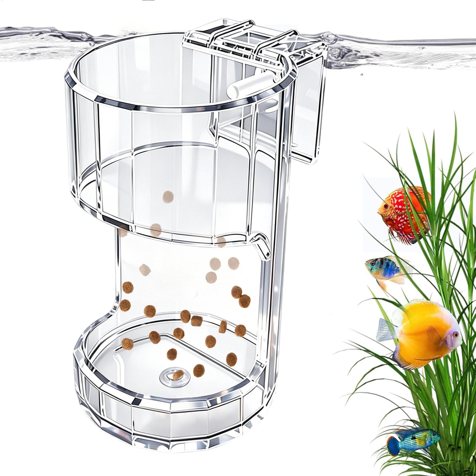 水族館給餌皿透明フードボウルホルダーコンテナ水族館魚フィーダ - Food Storage Room のレビューと価格